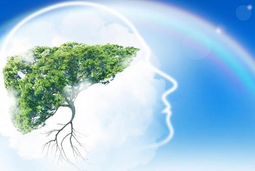 华恒京兴|新冠疫情带来的精神健康问题该如何解决？