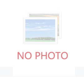 经颅直流电疗法在脑瘫儿童康复中的应用现状